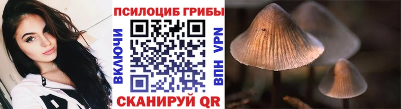наркошоп Зеленогорск Псилоцибиновые грибы мицелий