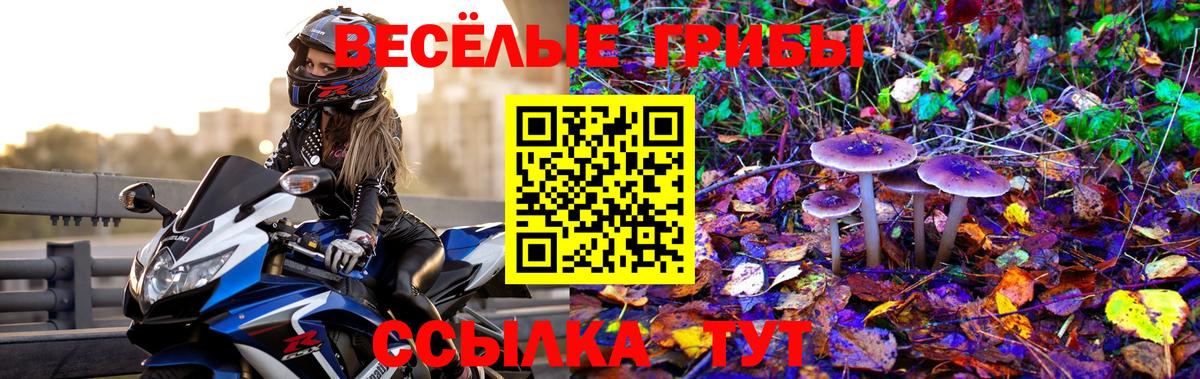 Псилоцибиновые грибы мицелий  Псилоцибиновые грибы прущие грибы  Вход с VPN  Зеленогорск 