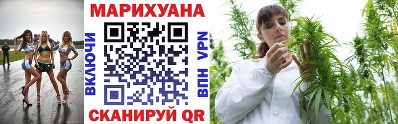 Бошки марихуана OG Kush Зеленогорск